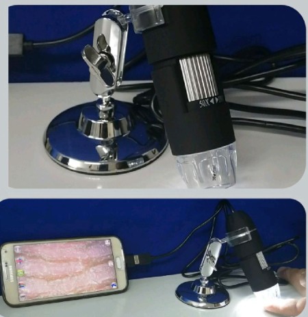 The price of buying a binocular microscope Laborlux 11