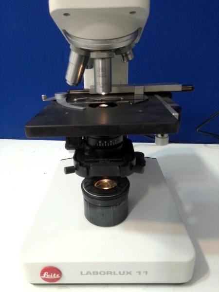 The price of buying a binocular microscope Laborlux 11