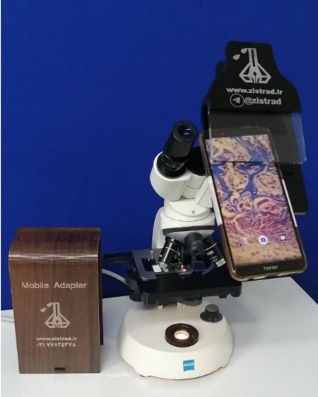 The price of buying a binocular microscope Laborlux 11