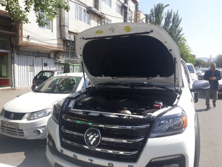 Original Hyundai Hood and Trunk Gas Strut from Turkey