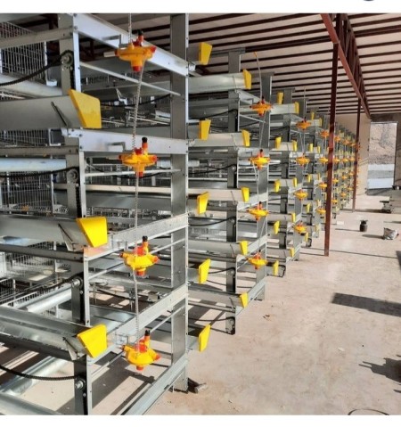 فروش جزیی و کلی قفس مرغ تخم گذار