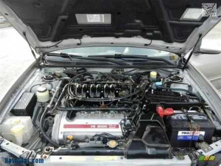 جک کاپوت  ماکسیما اصل ترکیه با کیفیت بالا