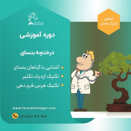 دوره آموزشی تولید و پرورش درختچه بنسای