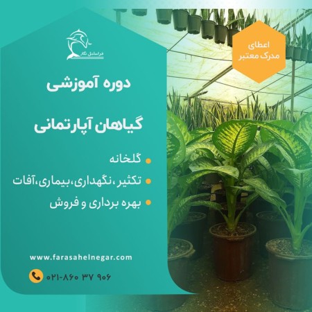 Training course on growing luxury houseplants