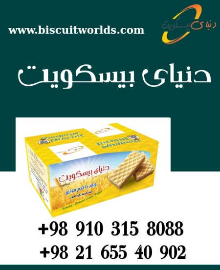 Biscuits of 5 kilos of Biscuits World
