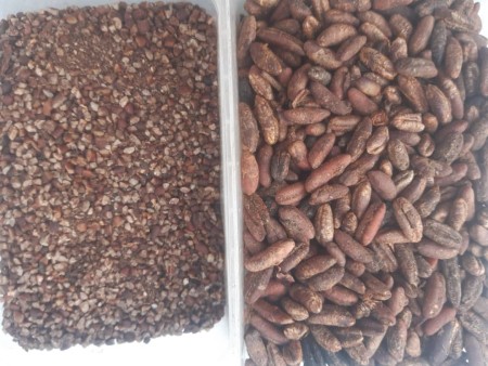 هسته خرما و پودر هسته