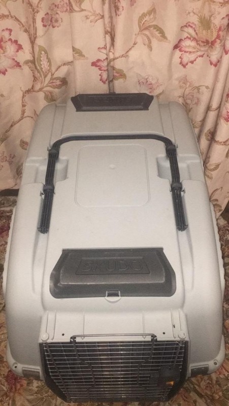 باکس سگ اسکودو