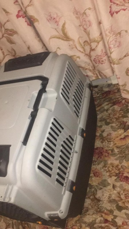 باکس سگ اسکودو