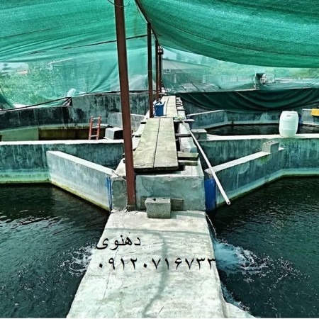 Canopy net, greenhouse shade