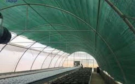 Canopy net, greenhouse shade