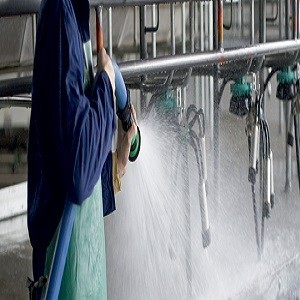 Acidic and alkaline detergent for the milk wash machine