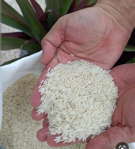 Durood organic rice