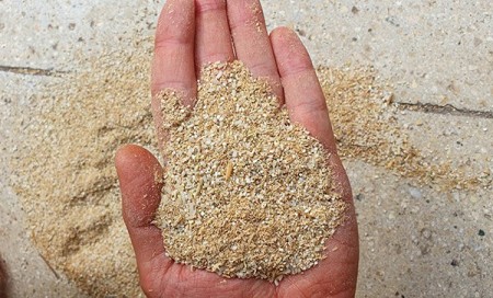 Chicken feed in Qazvin