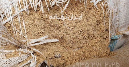 Chicken feed in Qazvin