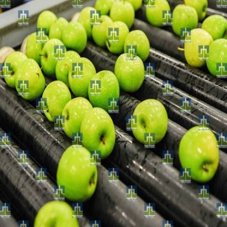 دستگاه سورتینگ سیب درختی