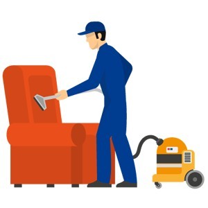 Whitewash online sofa cleaning