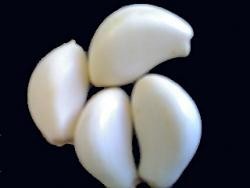 Pneumatic air garlic peeler made in Eastern Europe