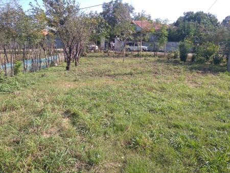 ۲۵۰ متر زمین ماسال تبرسرا