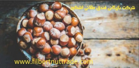 Ashkorat Gilan almond tree