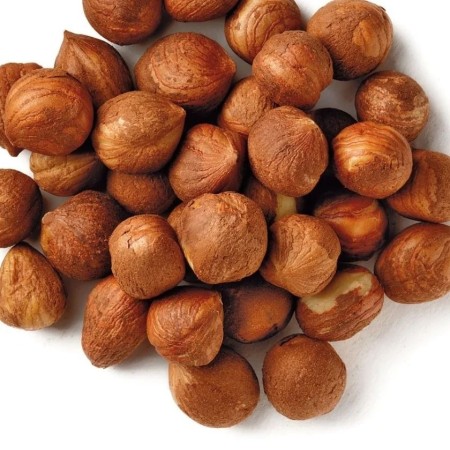 Ashkorat Gilan almond tree