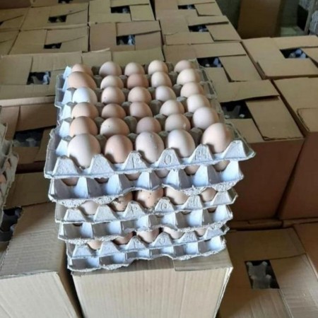 Wholesale sale of single-yolk and double-yolk local eggs