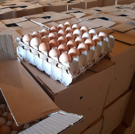 فروش عمده تخم مرغ محلی تک زرده و دوزرده
