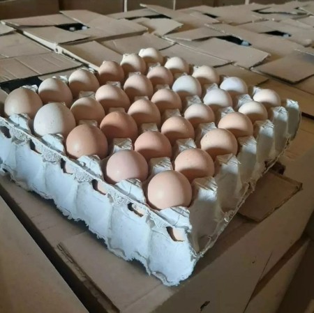 فروش عمده تخم مرغ محلی تک زرده و دوزرده