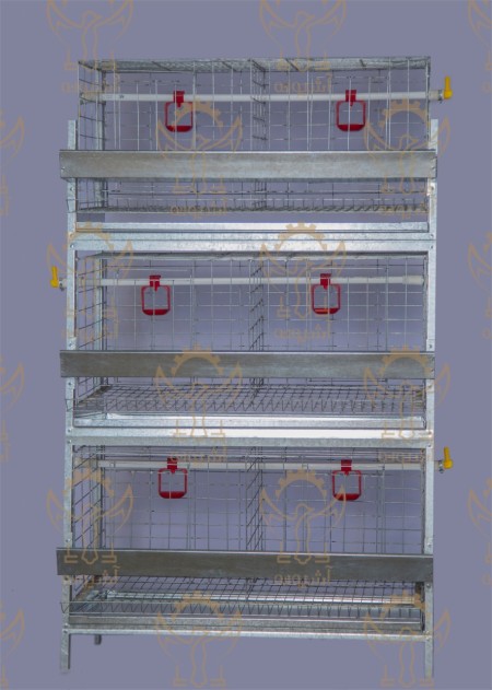 قفس سه طبقه مرغ (گروه تولیدی صنعتی آشیونه)