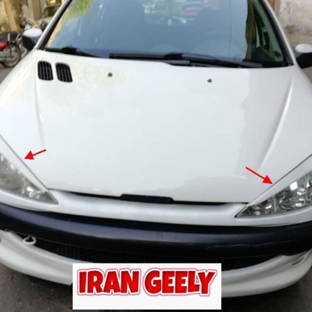 Peugeot 206 and 207 options