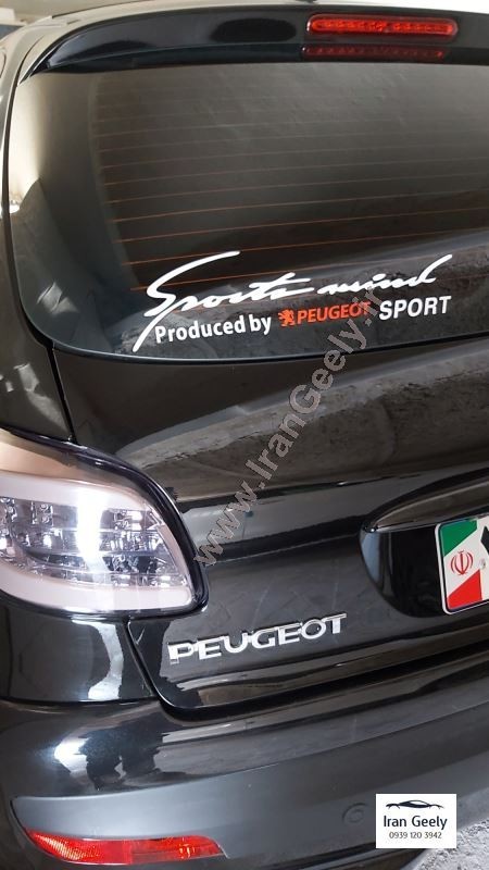 Peugeot 206 and 207 options