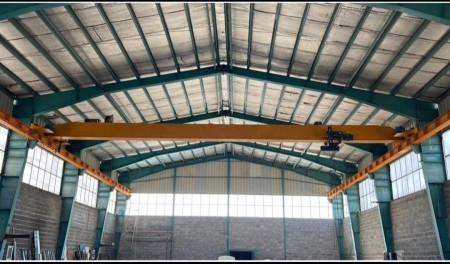 10 ton single bridge overhead crane with German Demag lift
