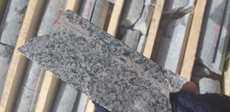 Mining consultant for borehole logging and exploratory drilling core logging