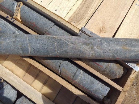 Mining consultant for borehole logging and exploratory drilling core logging