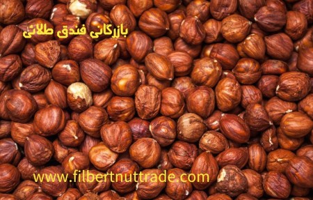 Roasted hazelnuts or salted hazelnuts