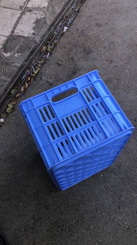 Baskets for carrying citrus fruits and tomatoes and slaughterhouse