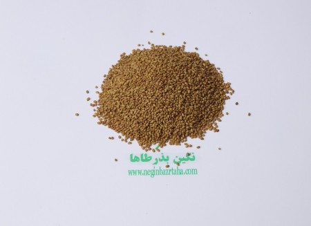 Sale of tropical and cold alfalfa seeds