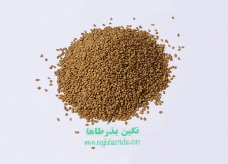 بذر یونجه مائوپا