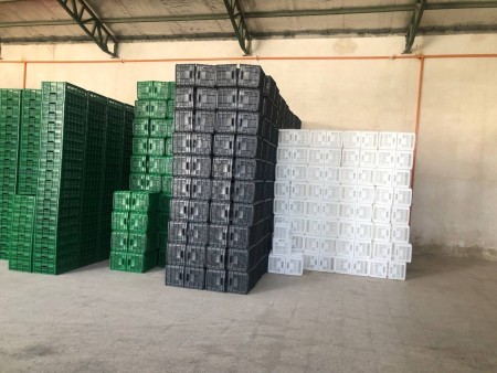 فروش سبدهای حمل مرکبات،سردخانه ای،گوجه فرنگی و انگور