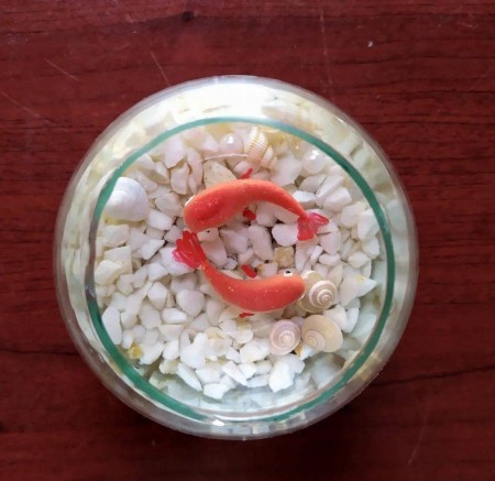 Resin fish for Haft Sin table