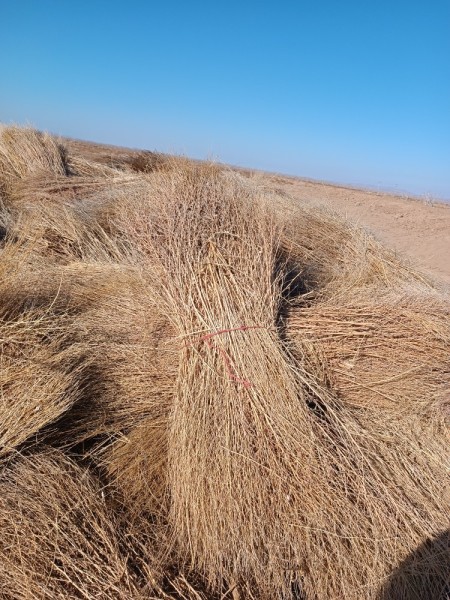 Sale of sweepers or municipal sweepers