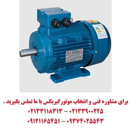 Kaijieli electric motor for sale Madian store