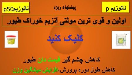 Natozyme multi-enzyme