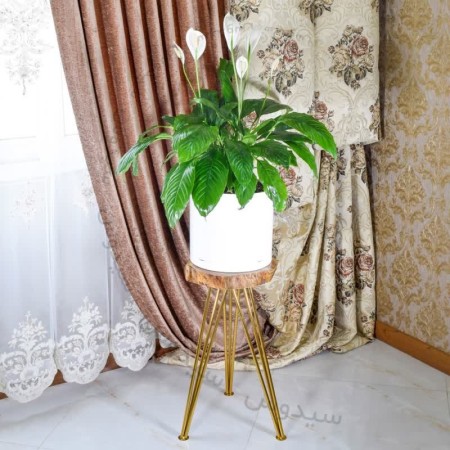 Sale of vases and building sanitary products and screws and plates