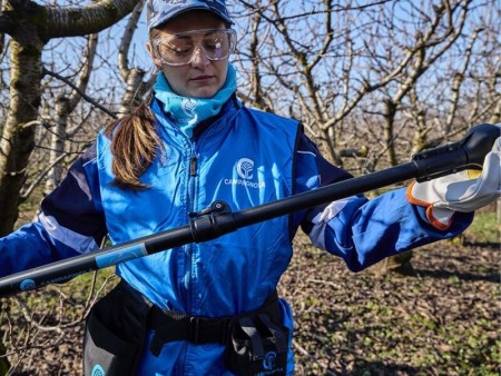Cordless pruning shears made by Campaniola, Italy