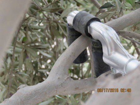 Portable harvest shaker