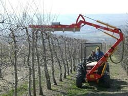 Forming pruning machine