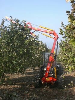 Forming pruning machine