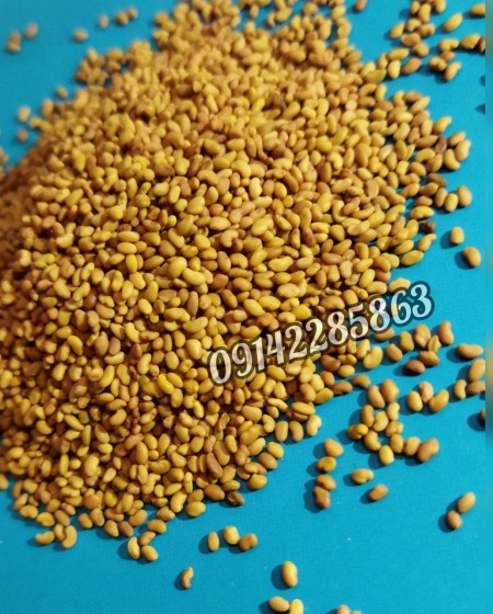 واردات و صادرات انواع بذر یونجه و علوفه