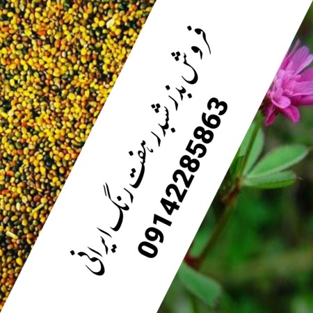 واردات و صادرات انواع بذر یونجه و علوفه