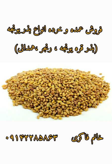 Export of alfalfa seeds, sale of alfalfa seeds and other fodder seeds
